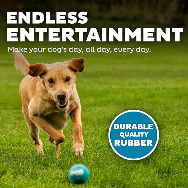 Outward Hound Squeaker Ballz, Interactive Dog Toy, Squeaky Tennis Ball, Durable Dog Toy for Fetch, Multi-Pack of 4, Medium