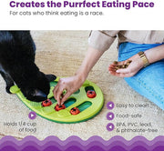 Catstages Buggin' Out Puzzle & Play, Interactive Treat Puzzle Cat Toy 13 in x 9.5 in, Green