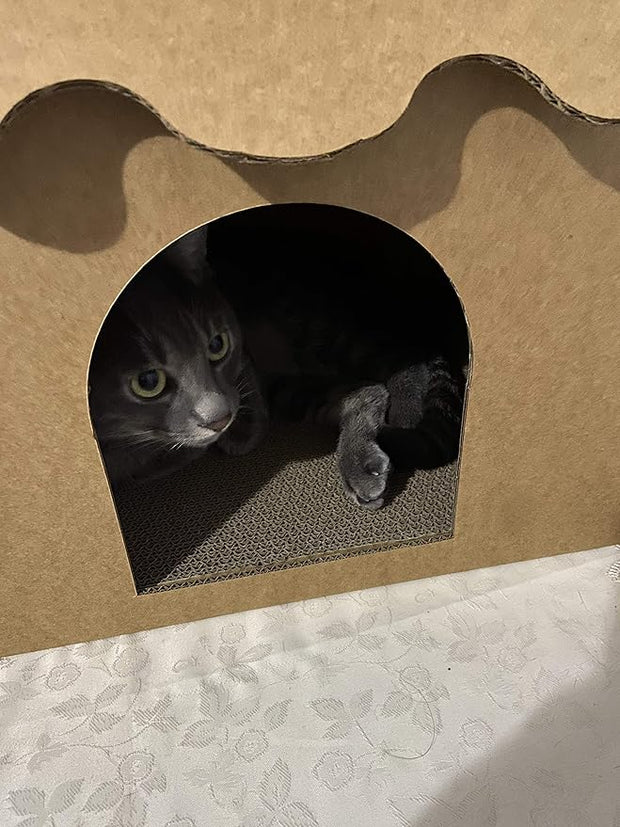 SVY Cozy Cat House with Scratcher Pad, Made of Corrugated Cardboard, Ideal for Cats & Kittens & Small Animals. 16"x12"x13"