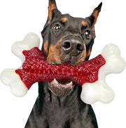 Tough Dog Toys, Toys for Aggressive Chewers Large Breed, Chew Dogs, Bone Toy Nylon Dogs Almost