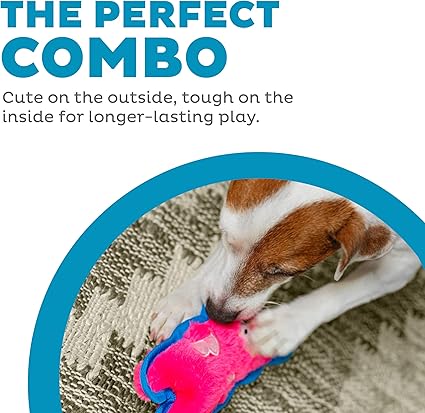 Outward Hound Durablez Tough Plush Squeaky Dog Toy, Pig, Pink, XS