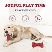 Tough Dog Toys, Toys for Aggressive Chewers Large Breed, Chew Dogs, Bone Toy Nylon Dogs Almost
