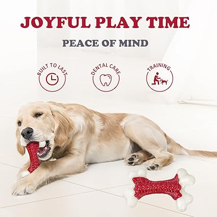 Tough Dog Toys, Toys for Aggressive Chewers Large Breed, Chew Dogs, Bone Toy Nylon Dogs Almost
