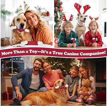 Tough Dog Toys, Toys for Aggressive Chewers Large Breed, Chew Dogs, Bone Toy Nylon Dogs Almost