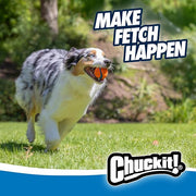 Chuckit! Ultra Ball Dog Toy - Medium Bouncy Fetch Balls For Dogs 20-60 lbs - Made from Durable Rubber - Floating Water Pet Toys - Size Medium - 2.5-inch Diameter - Pack of 2