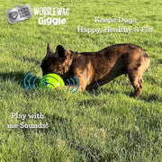 Wobble Wag Giggle Ball | Rolling Enrichment Toy for Fun Playtime, Interactive Play for Indoor or Outdoor, Keeps Dogs & Puppies Large, Medium or Small Busy & Moving, As Seen on TV | Pack of 1