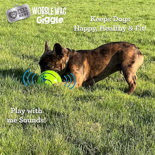 Wobble Wag Giggle Ball | Rolling Enrichment Toy for Fun Playtime, Interactive Play for Indoor or Outdoor, Keeps Dogs & Puppies Large, Medium or Small Busy & Moving, As Seen on TV | Pack of 1