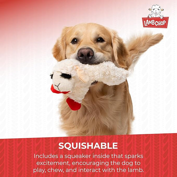 Multipet Lamb Chop Dog Plush Toy - Squeaky Dog Toy for Small & Medium Dogs - Extra Soft Plush Dog Toy - Stuffed Animal Dog Toy for Cuddling & Playing - Cute Pet Toy (10", Cream, 5 Squeakers)