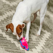 Outward Hound Durablez Tough Plush Squeaky Dog Toy, Pig, Pink, XS