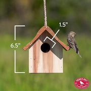 Perky-Pet 50301 Wren Home Birdhouse