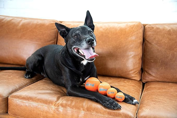 Outward Hound Squeaker Ballz, Interactive Dog Toy, Squeaky Tennis Ball, Durable Dog Toy for Fetch, Multi-Pack of 4, Medium