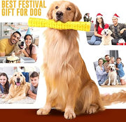 Dog Squeaky Toys Interactive Dog Toys for Aggressive Chewers Tough Rubber Chew Toys for Medium/Large Breed, Indestructible Puppy Chew Toys for Teething (Yellow)