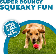 Outward Hound Squeaker Ballz, Interactive Dog Toy, Squeaky Tennis Ball, Durable Dog Toy for Fetch, Multi-Pack of 4, Medium