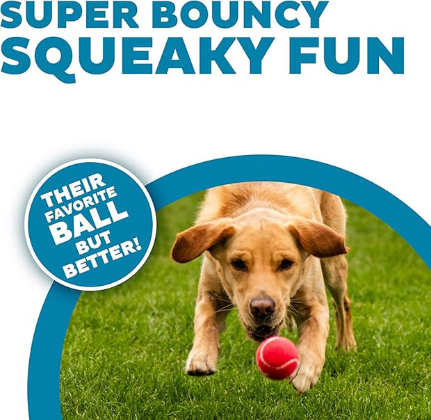 Outward Hound Squeaker Ballz, Interactive Dog Toy, Squeaky Tennis Ball, Durable Dog Toy for Fetch, Multi-Pack of 4, Medium