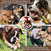 2 Pack Dog Chew Toys for Aggressive Chewers,Boredom and Stimulating Best Dog Toys for Medium/Large Breed,Tough Almost Indestructible Dog Bones for Teeth Cleaning and Training