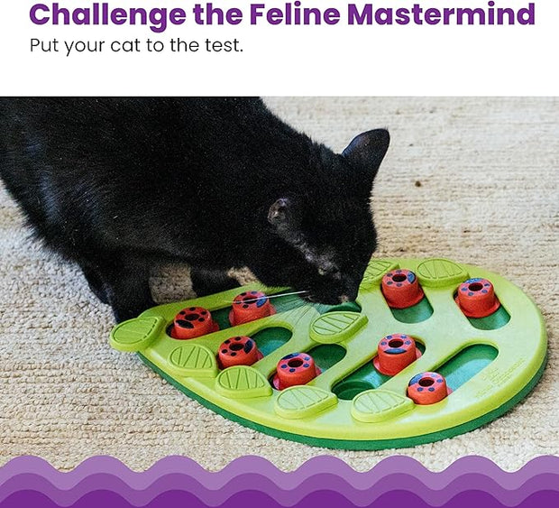 Catstages Buggin' Out Puzzle & Play, Interactive Treat Puzzle Cat Toy 13 in x 9.5 in, Green