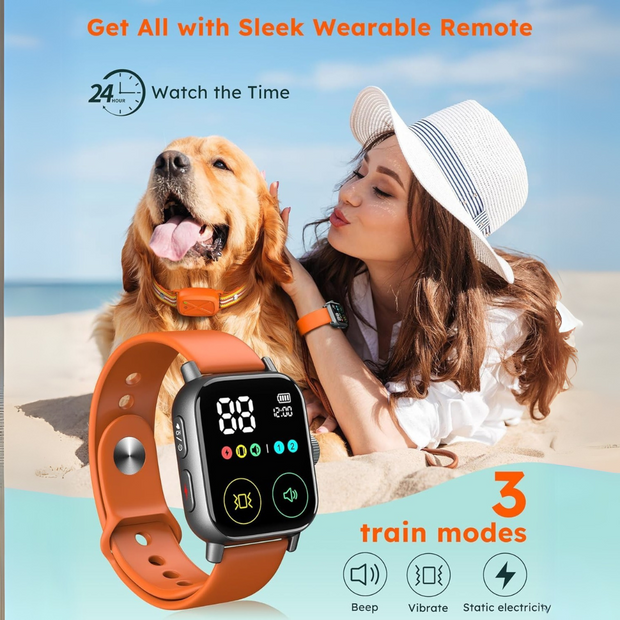 PetFurryFun Dog Training Collar with Watch-Style Remote
