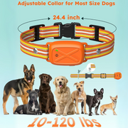 PetFurryFun Dog Training Collar with Watch-Style Remote