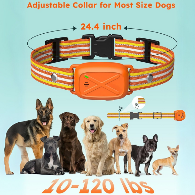 PetFurryFun Dog Training Collar with Watch-Style Remote