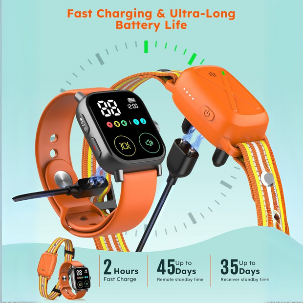 PetFurryFun Dog Training Collar with Watch-Style Remote